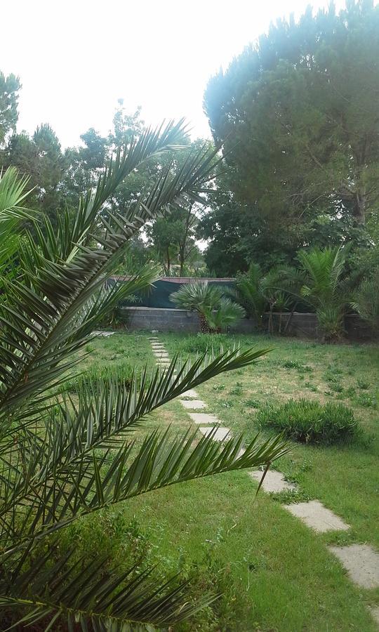 مبيت وإفطار كاسال بالوكو أيه 57 المظهر الخارجي الصورة